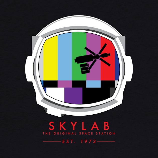 Skylab: The Original Space Station by CosmoQuestX